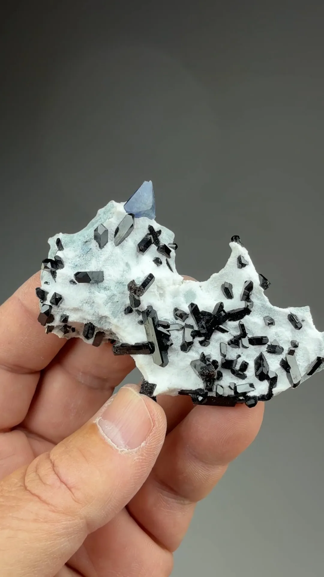 Benitoite with Neptunite, Natrolite - image 2