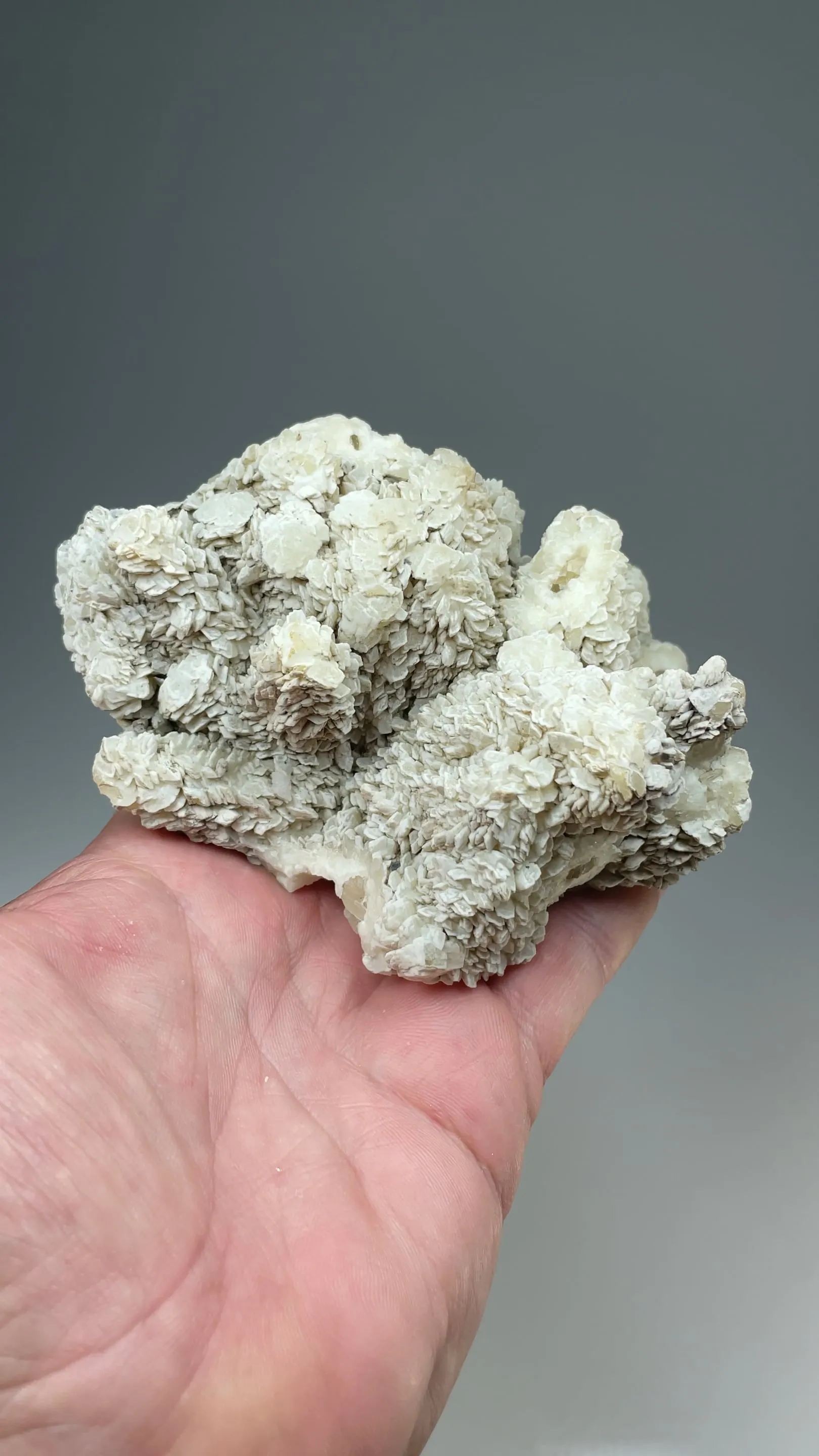 Benstonite with Calcite, Fluorite - image 2