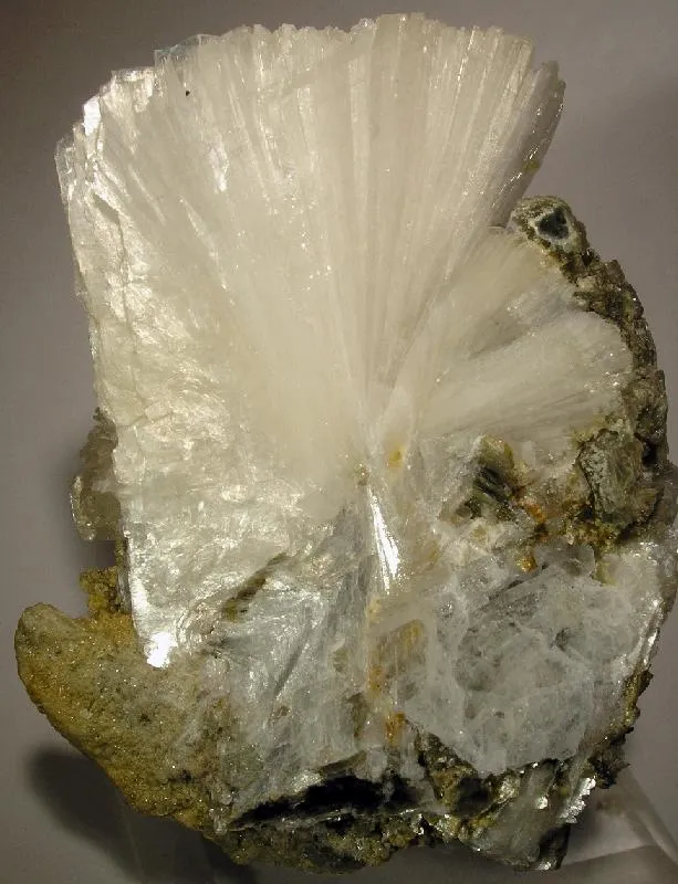 Bertrandite image