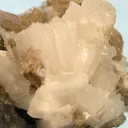 Bertrandite - image 2