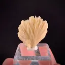 Bertrandite - image 2