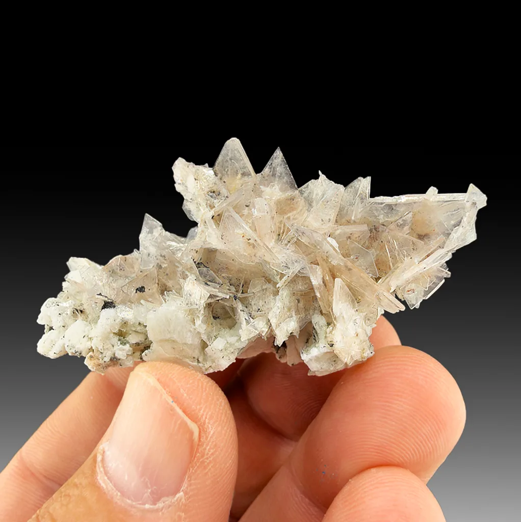 Bertrandite image