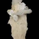 Bertrandite - image 4