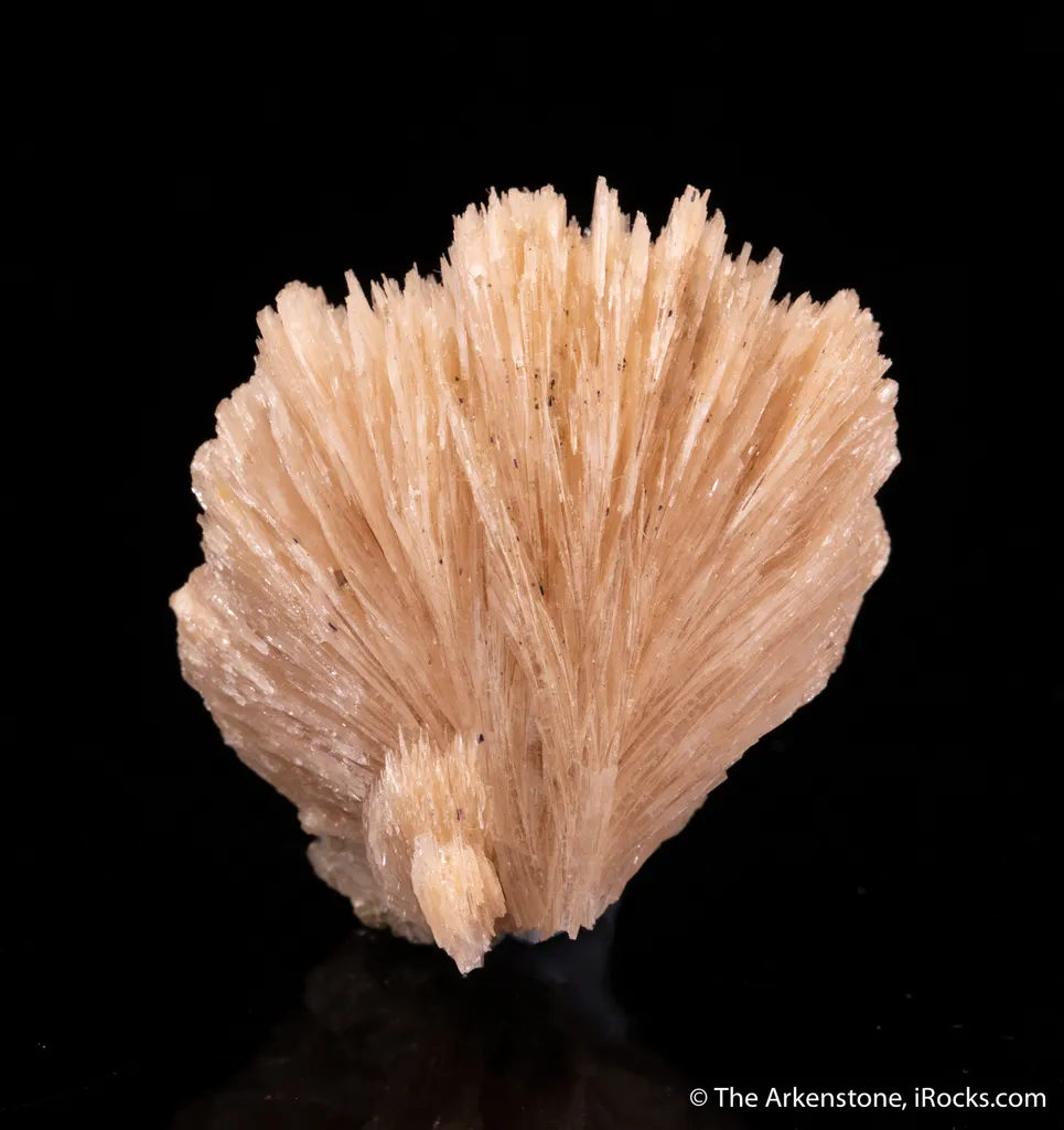 Bertrandite image