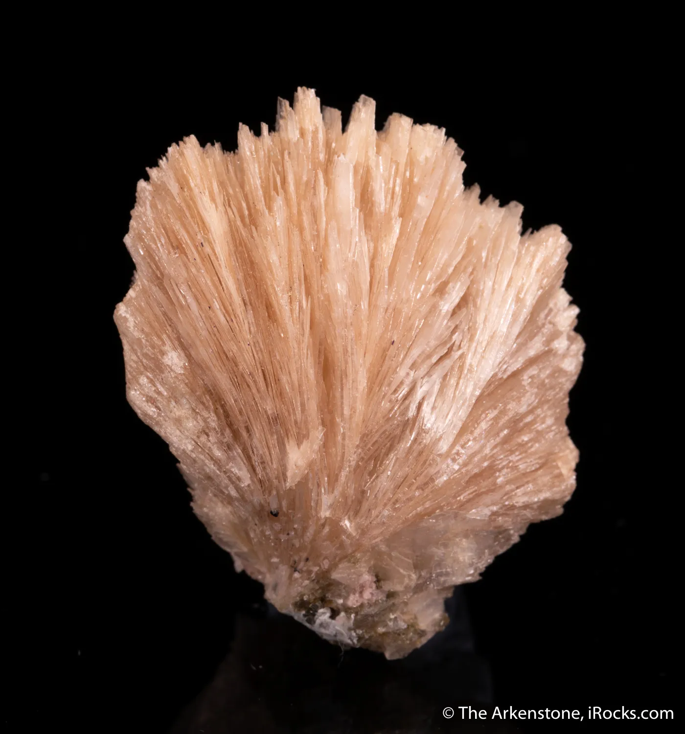Bertrandite - image 4