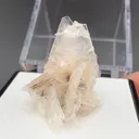 Bertrandite from Papachacra, Catamarca Province, Argentina - image 2
