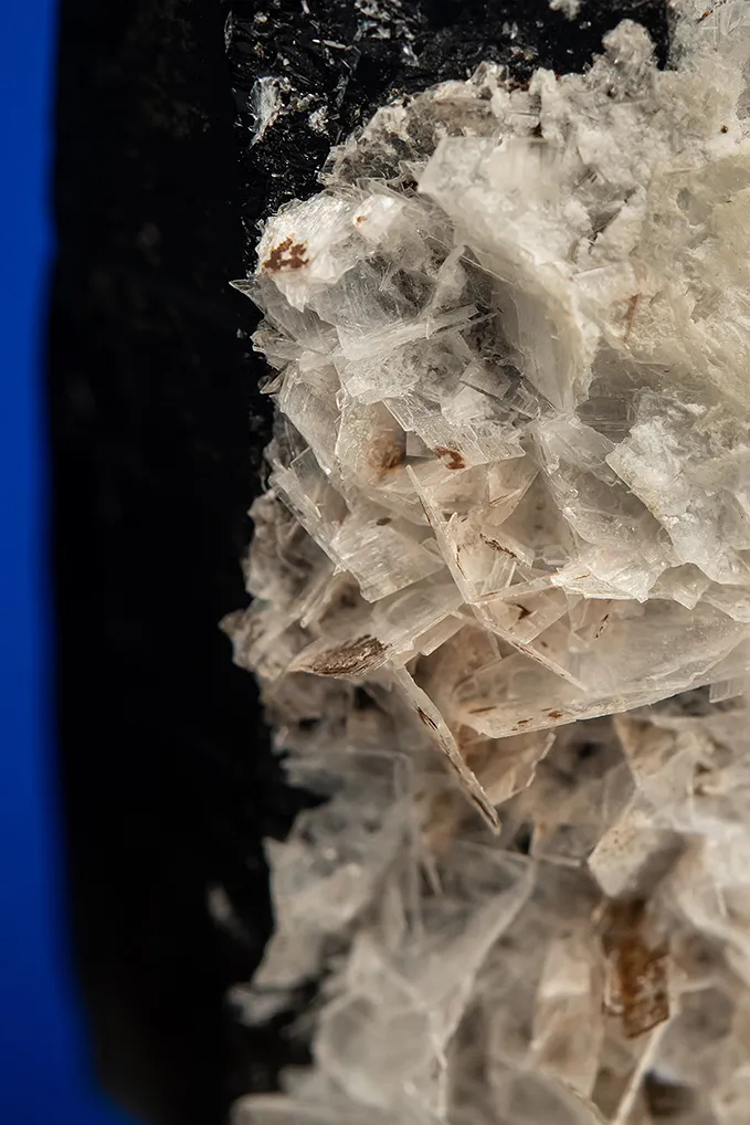 Bertrandite on Quartz var. Smoky - image 2