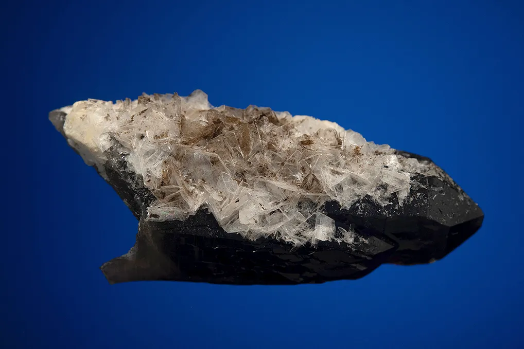 Bertrandite on Quartz var. Smoky - image 4
