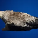 Bertrandite on Quartz var. Smoky - image 4