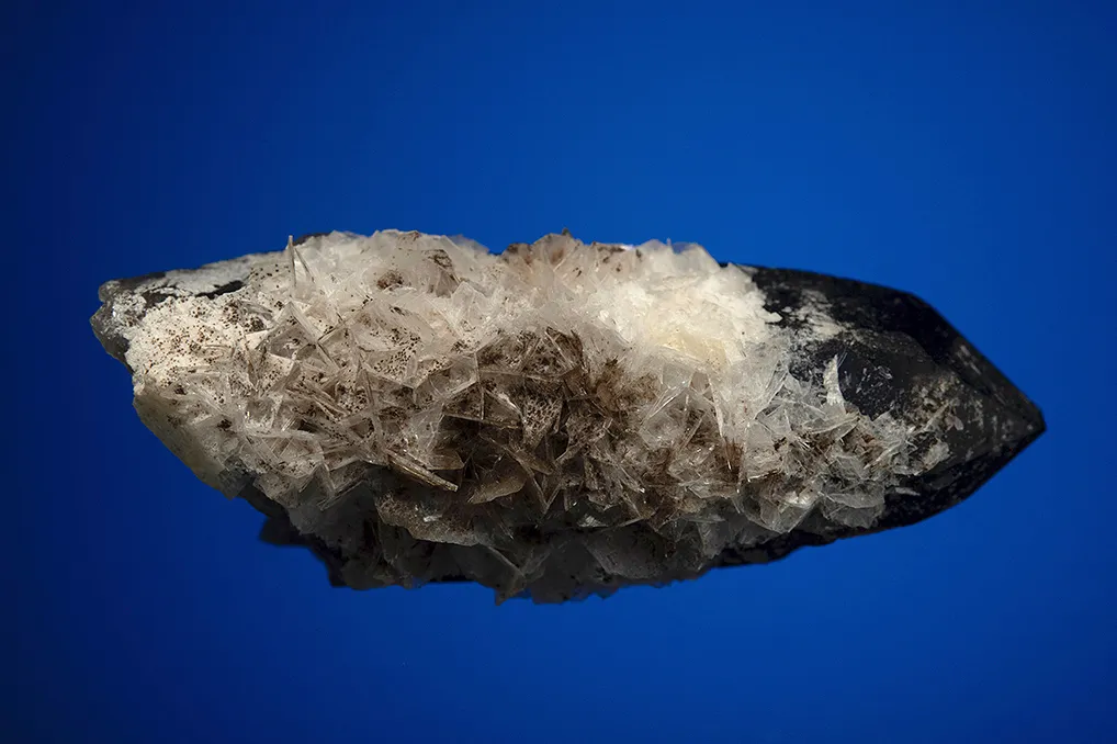 Bertrandite on Quartz var. Smoky - image 3