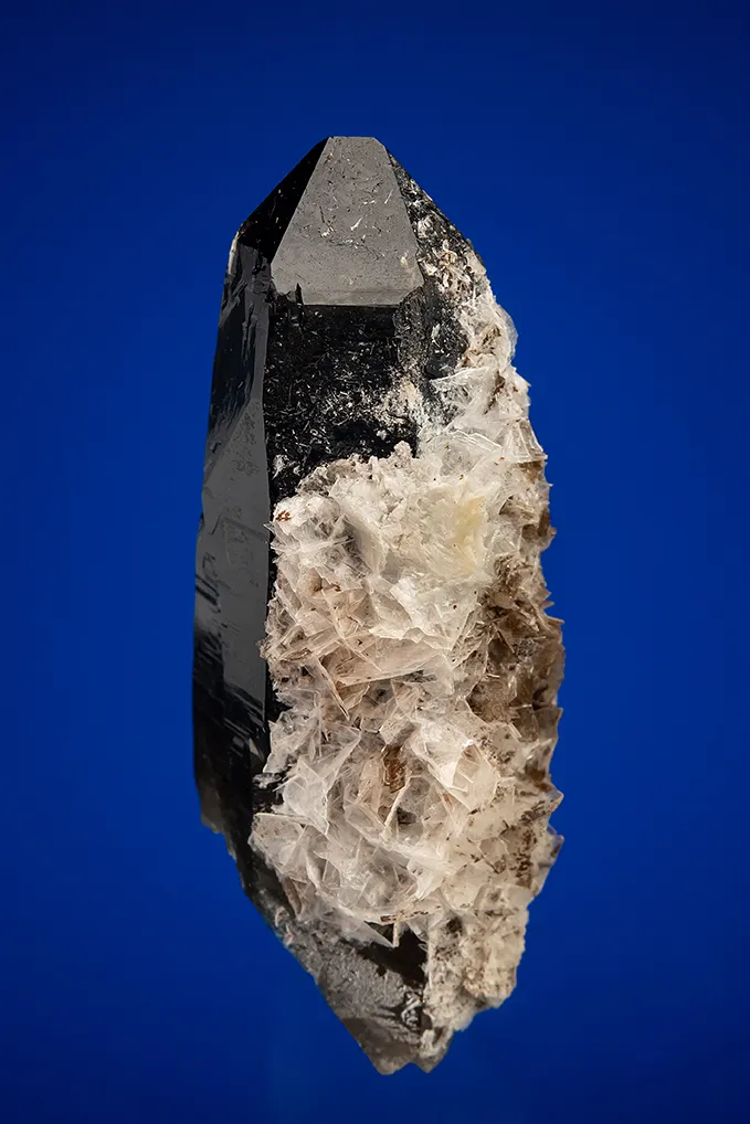 Bertrandite on Quartz var. Smoky image
