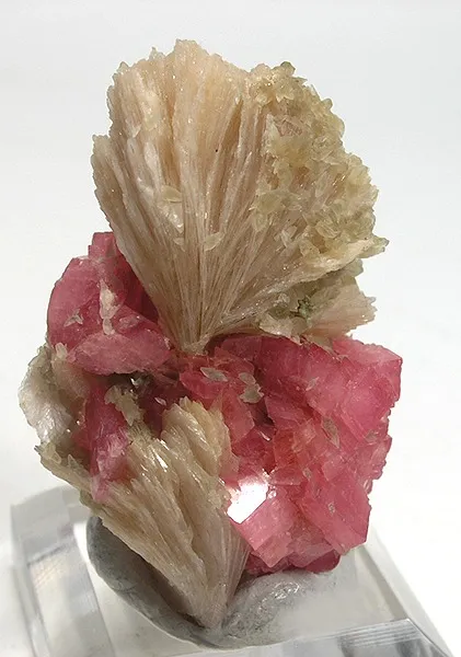 Bertrandite, Rhodochrosite image