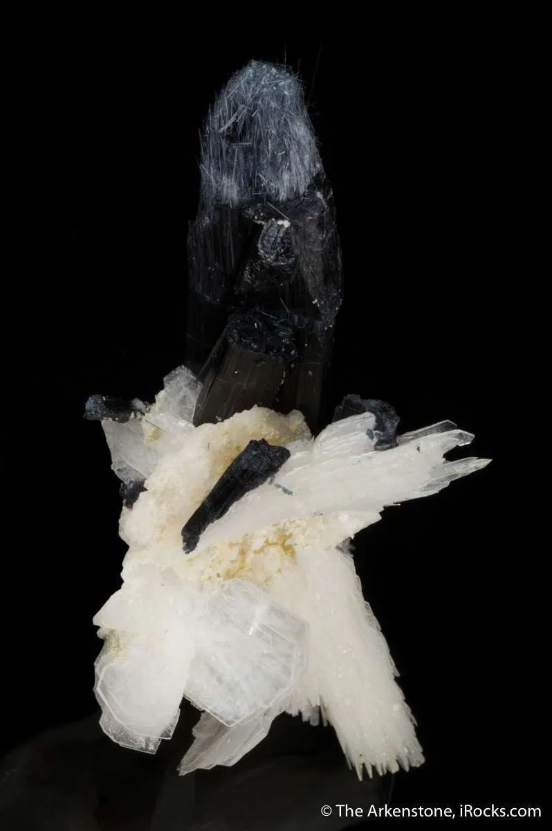 Bertrandite with Tourmaline - image 4