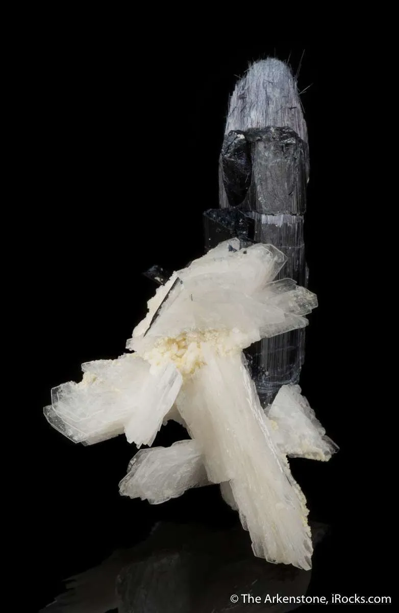 Bertrandite with Tourmaline - image 2