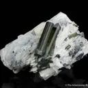 Bertrandite with Tourmaline - image 2