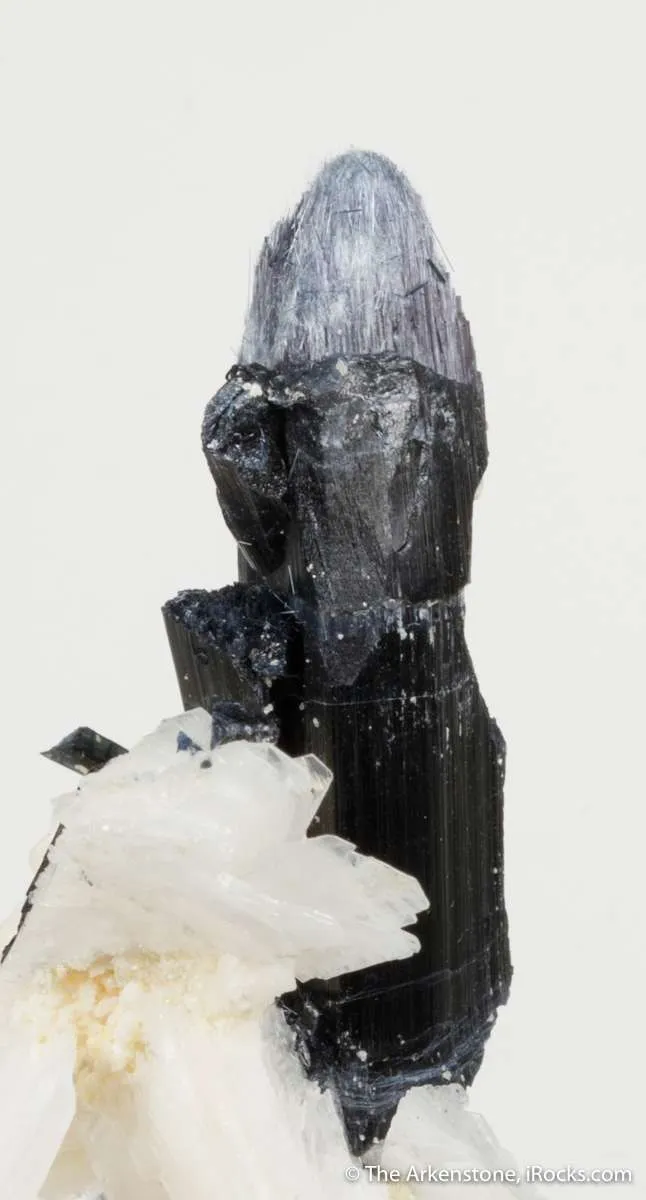 Bertrandite with Tourmaline - image 6