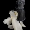 Bertrandite with Tourmaline - image 3