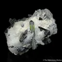 Bertrandite with Tourmaline - image 8