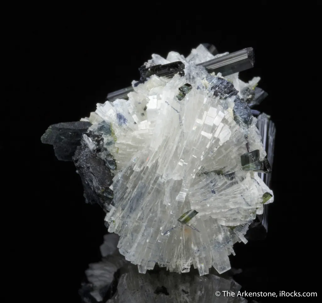 Bertrandite with Tourmaline image