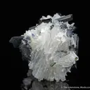 Bertrandite with Tourmaline - image 1