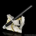 Bertrandite with Tourmaline - image 2