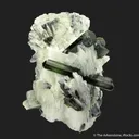 Bertrandite with Tourmaline - image 6