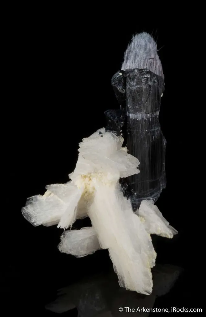 Bertrandite with Tourmaline image
