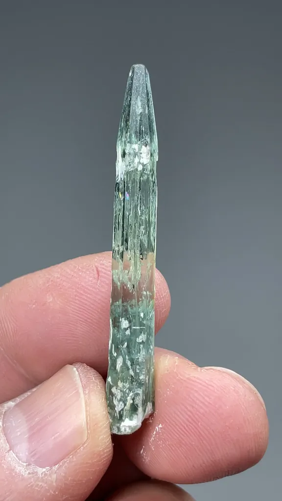 Beryl - image 2