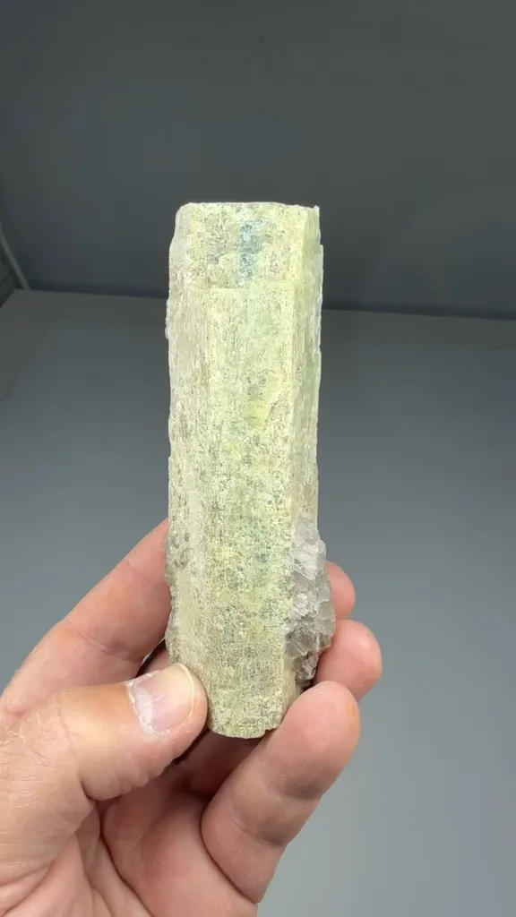 Beryl - image 2