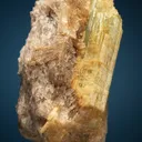 Beryl - image 2