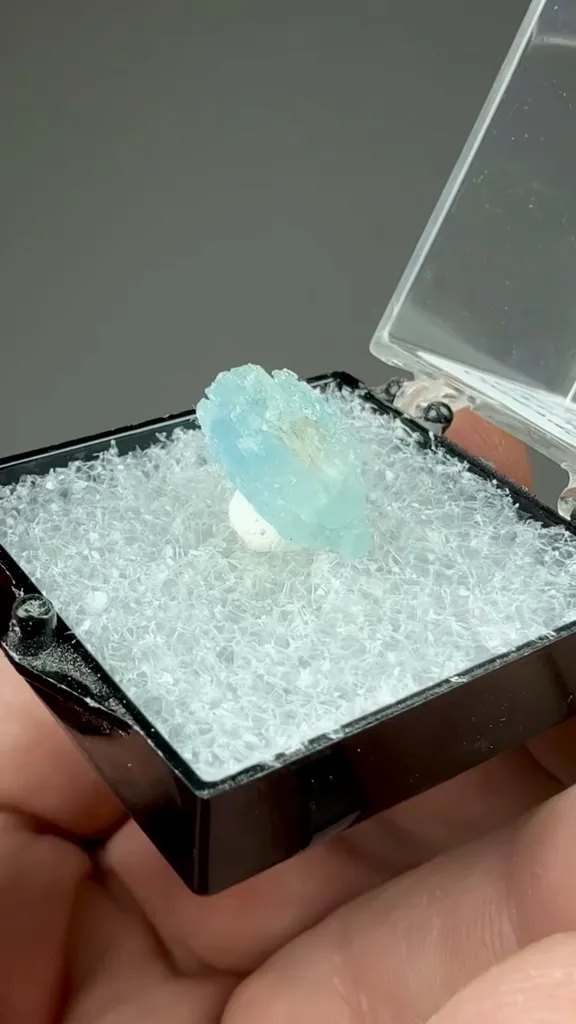 Beryl - image 2