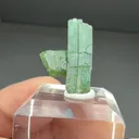 Beryl - image 2