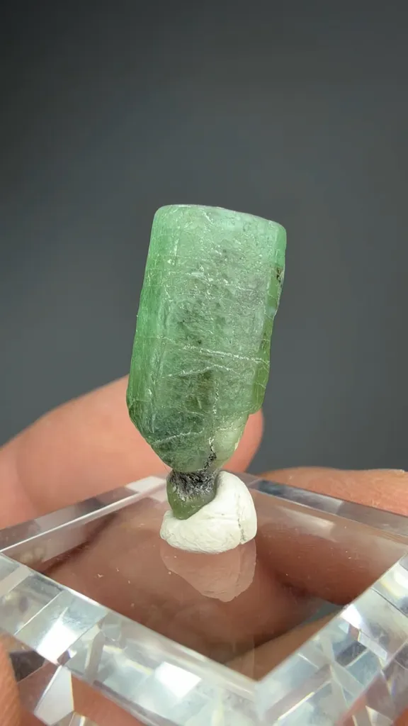 Beryl - image 2