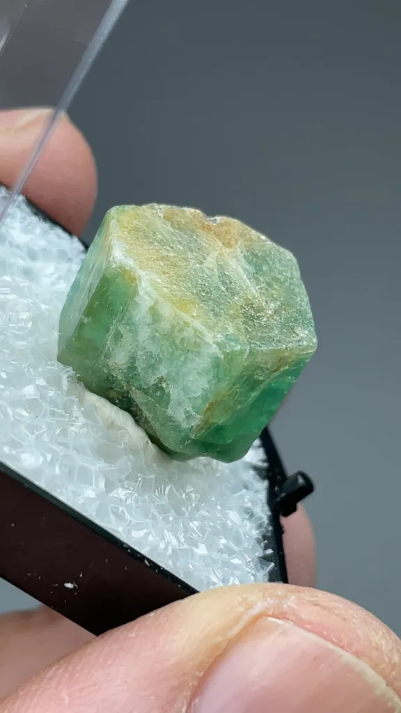 Beryl - image 2