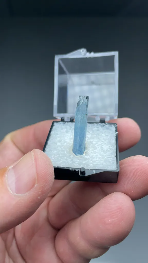 Beryl - image 2
