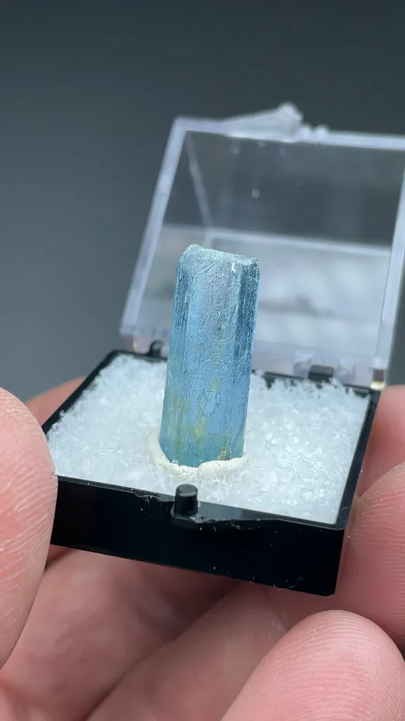 Beryl - image 2