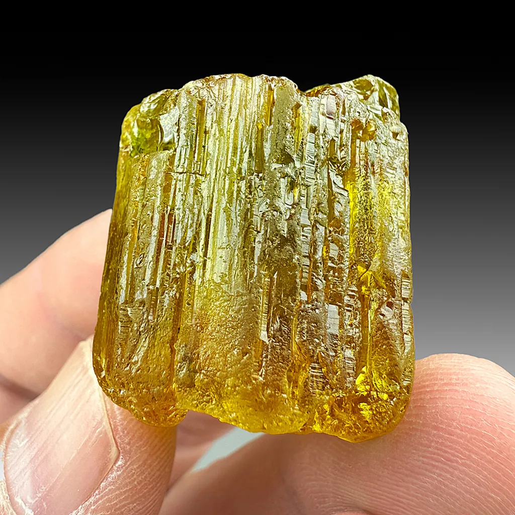 Beryl - image 2