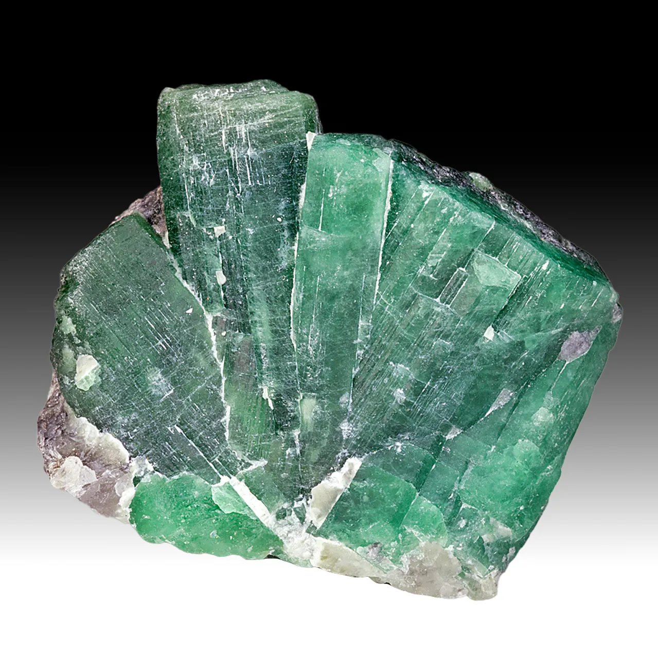 Beryl - image 1
