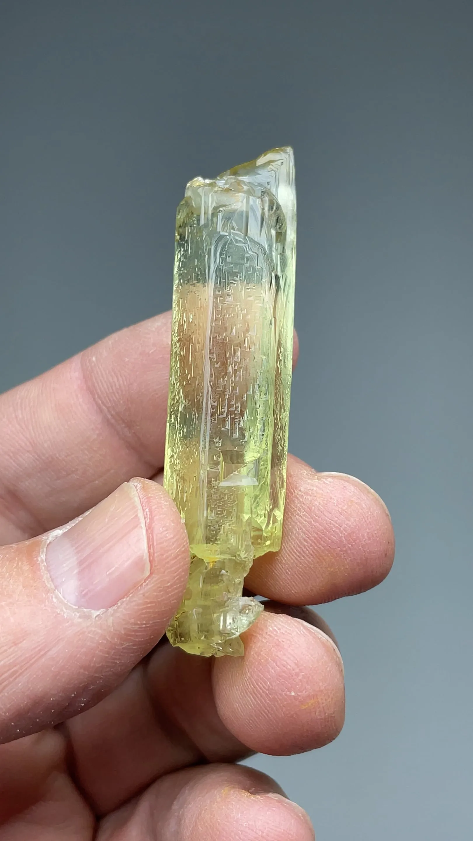 Beryl (24.55g) - image 2