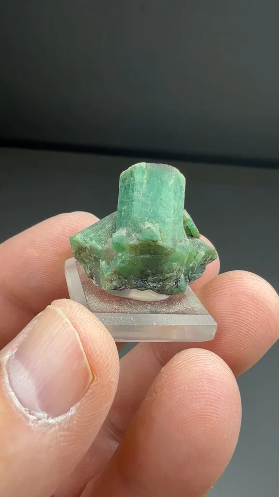 Beryl - image 2