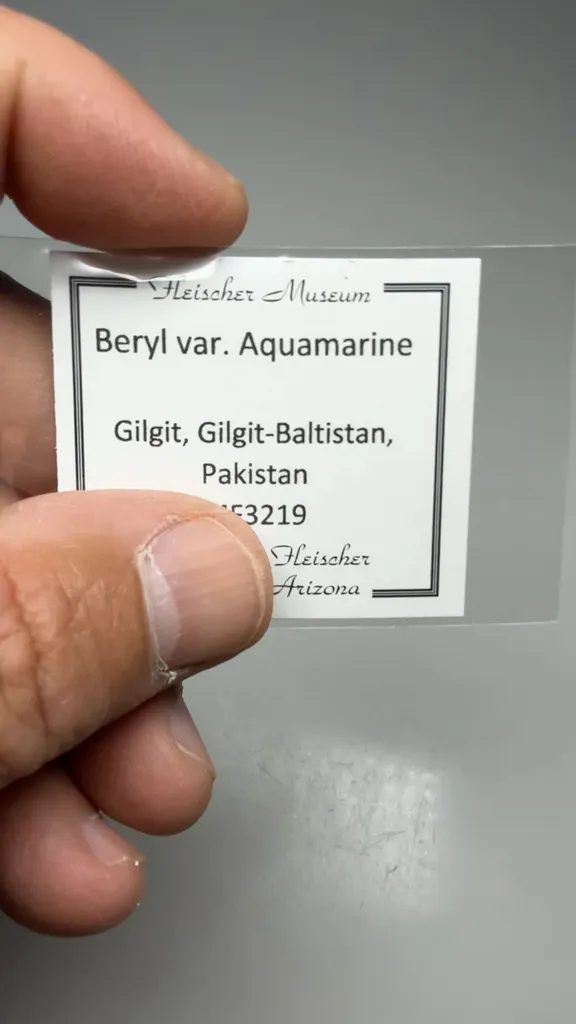 Beryl - image 2
