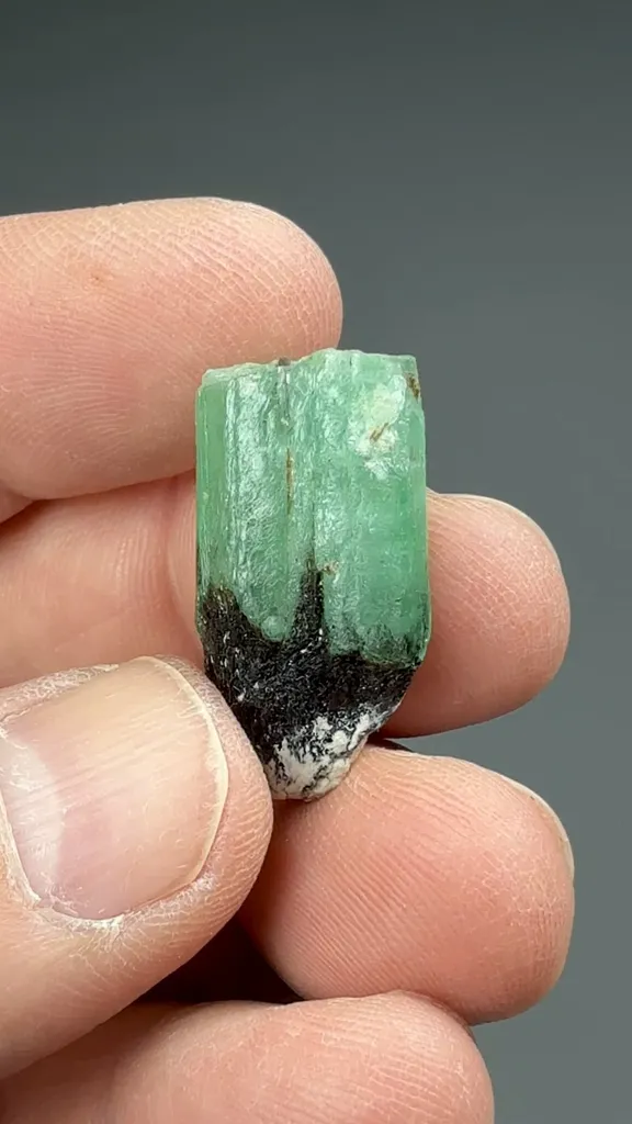 Beryl - image 2