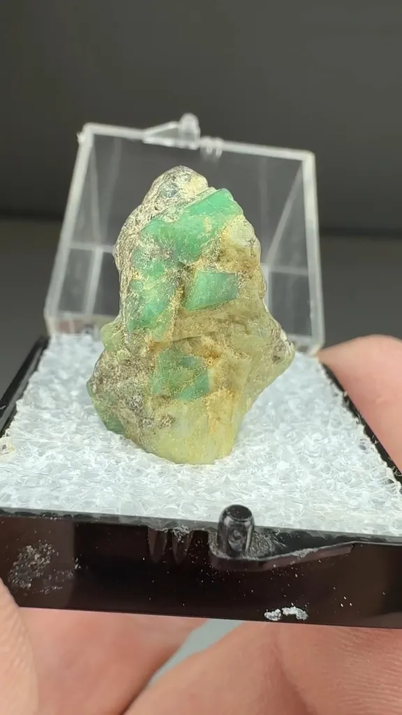 Beryl - image 2