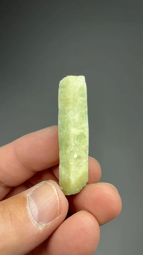 Beryl - image 2