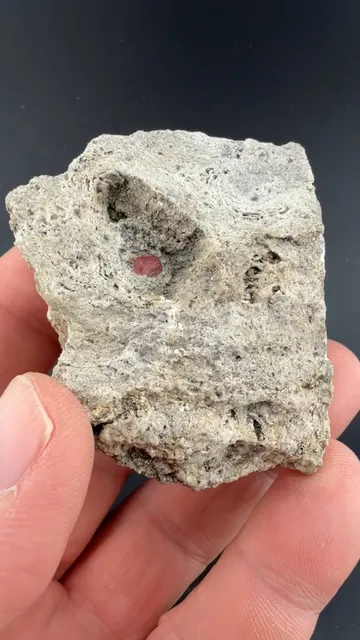 Beryl