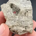 Beryl - image 1