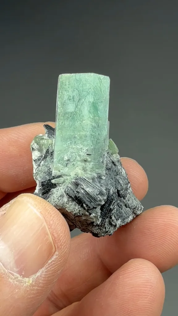 Beryl - image 2