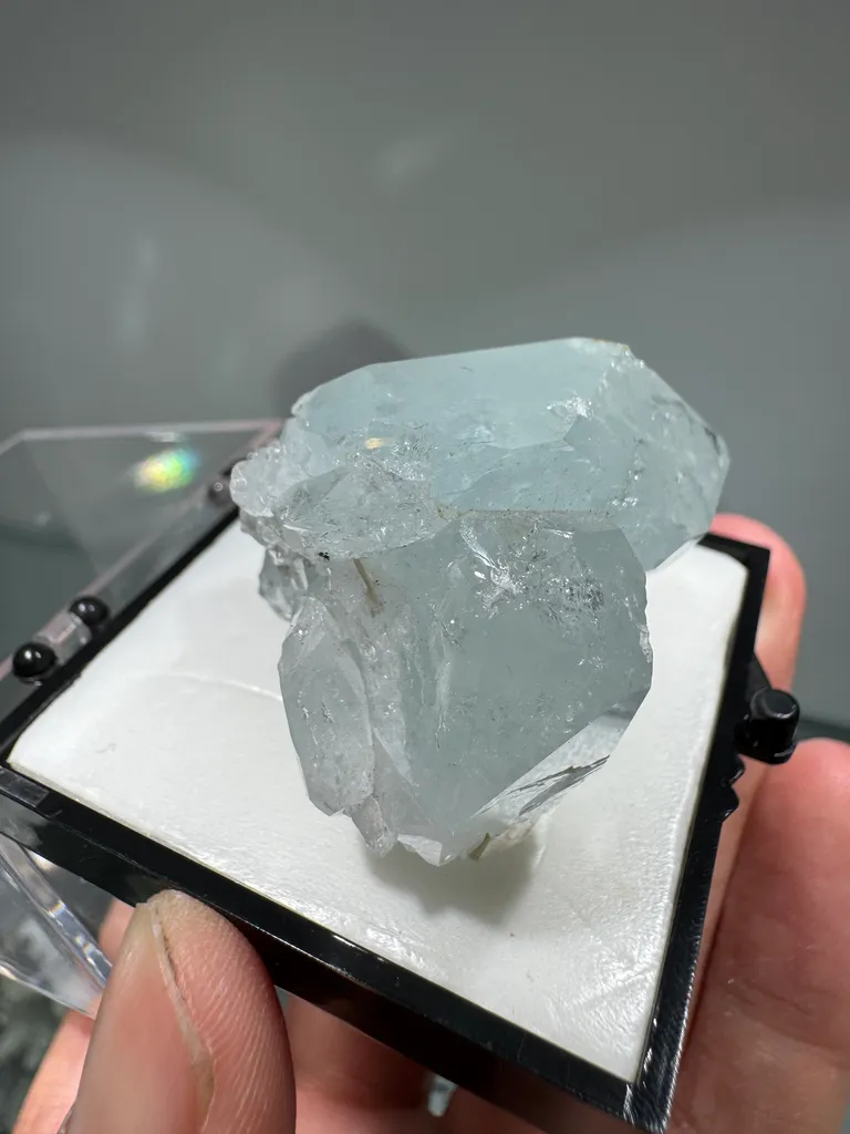 Beryl - image 7