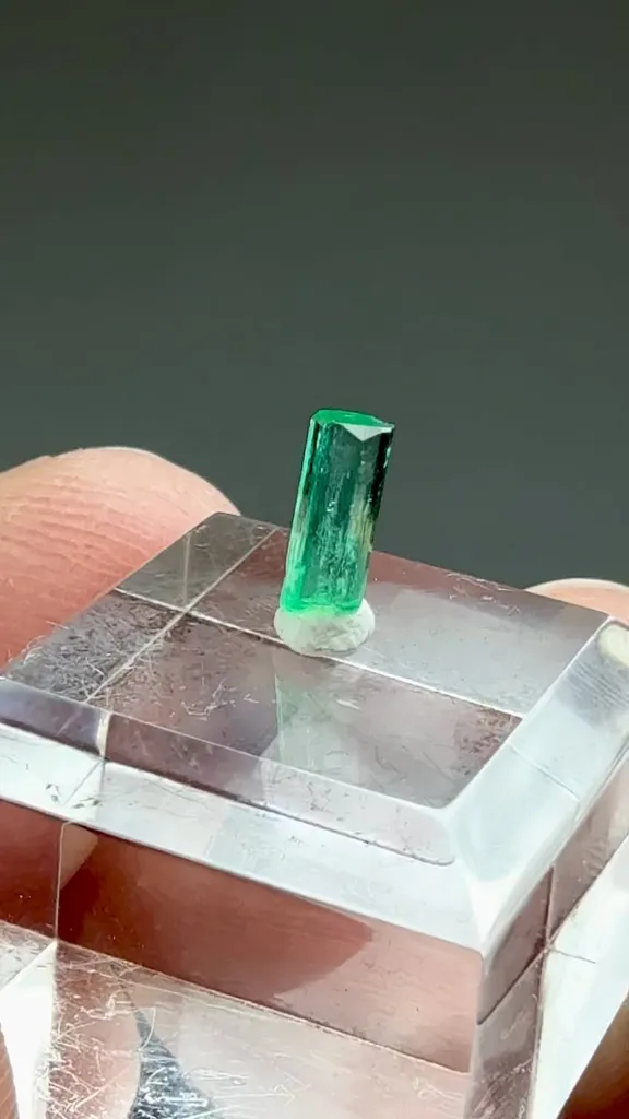 Beryl - image 2