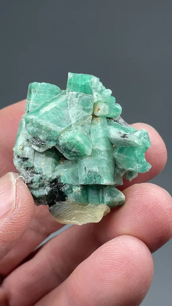 Beryl - image 2